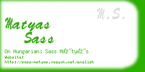 matyas sass business card